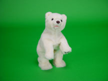Glacier Polar Bear